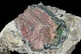Rainbow Tourmaline (Elbaite) in Quartz - Leduc Mine, Quebec #133009-3